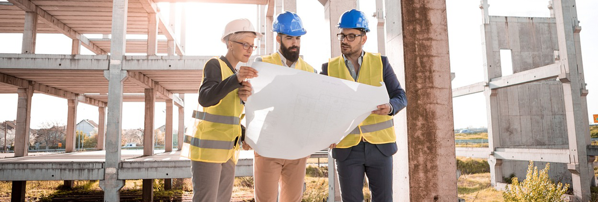 3 people looking at a large sheet of paper